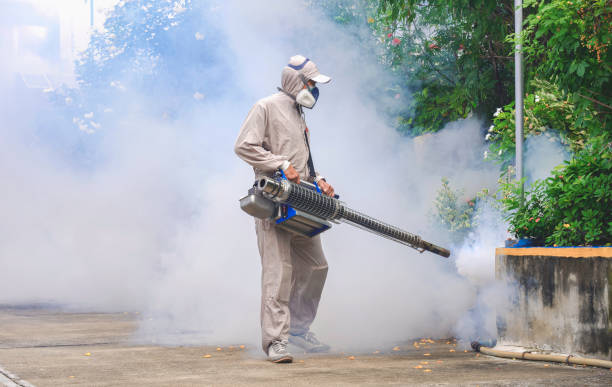 Antipest Mosquito Control in Andheri
