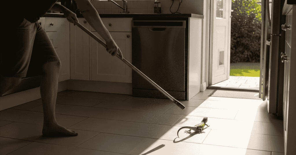 Commercial Kitchen Lizard Repellents