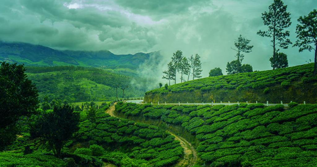 Best Places to Visit in Monsoon in South India