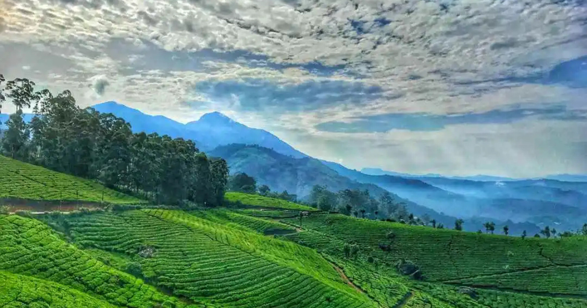 Top 10 Coldest Places in Kerala