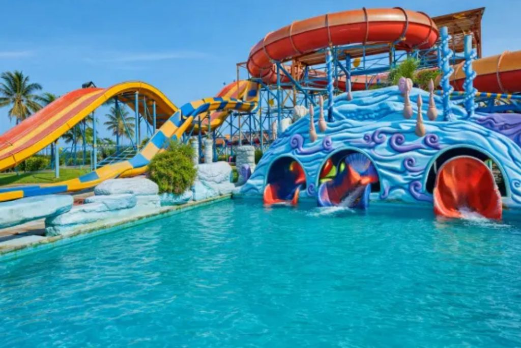 VGP Universal Kingdom