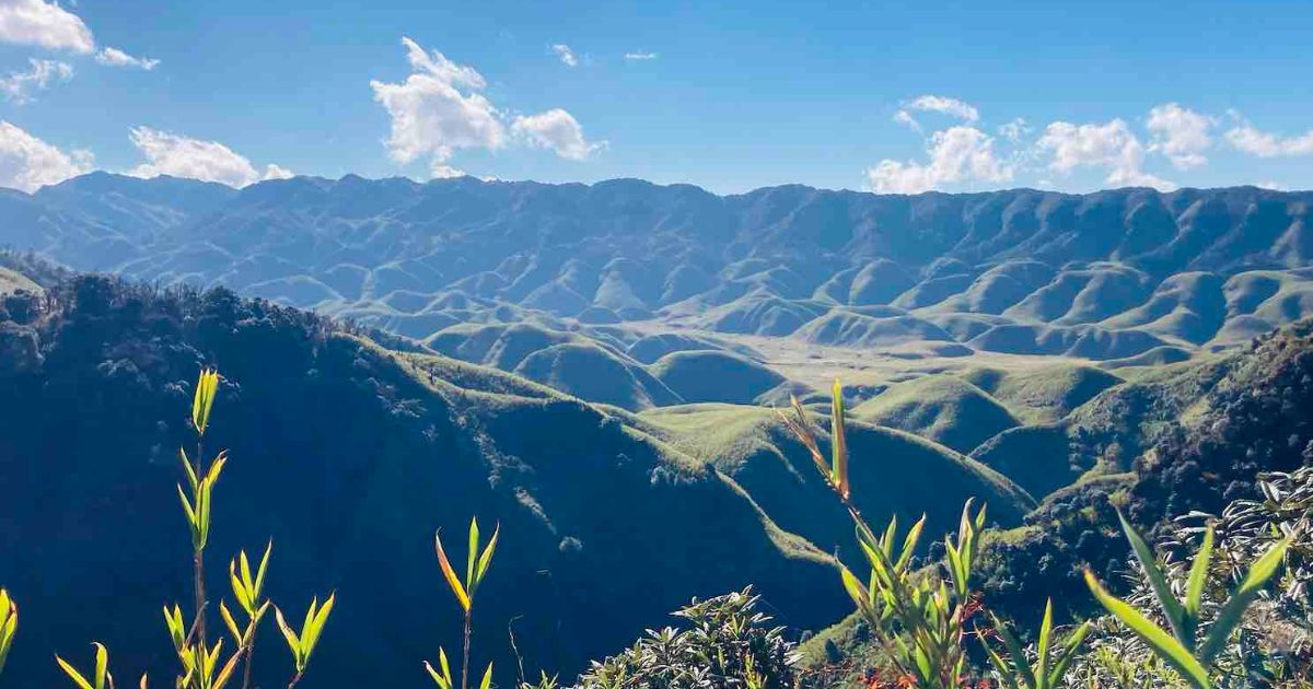Best Time to Visit Dzukou Valley