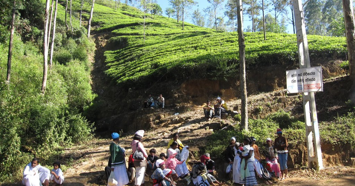 places to visit with family in sri lanka