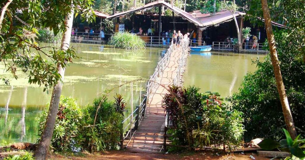 Savoi Spice Plantation