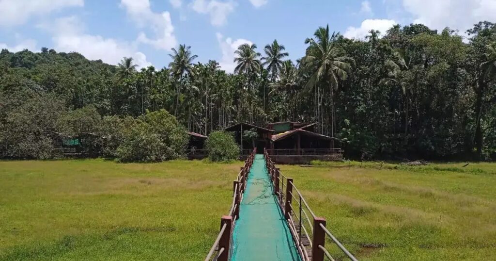 Tropical Spice Plantation