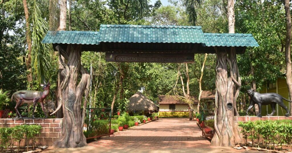 Cotigao Wildlife Sanctuary