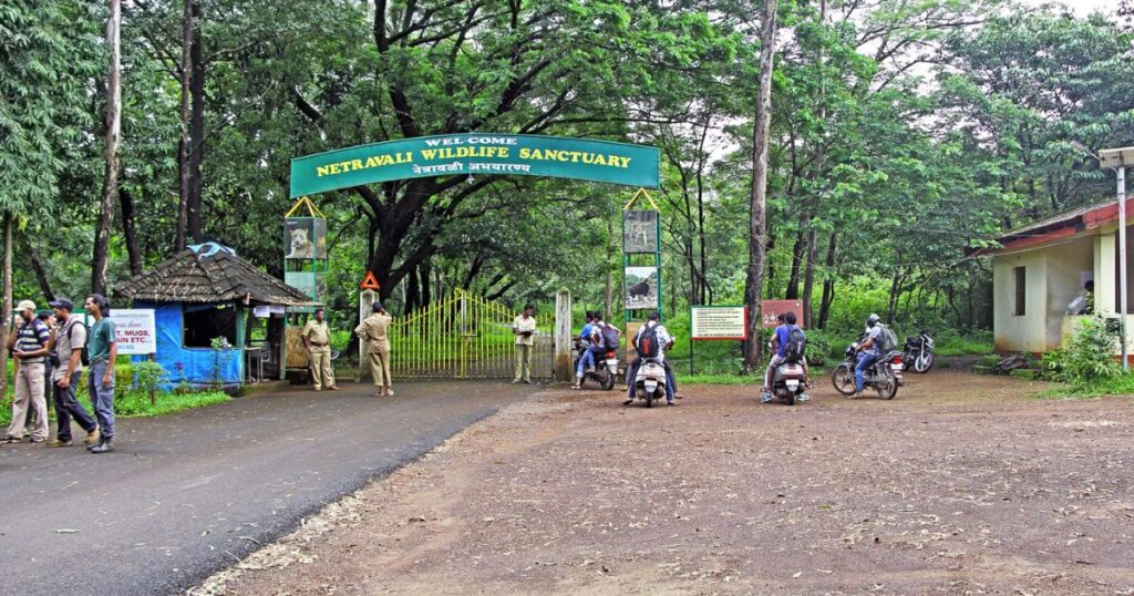 Netravali Wildlife Sanctuary