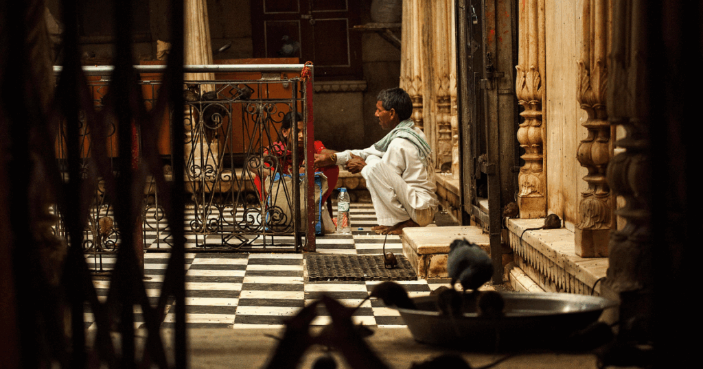 karni Mata Temple, Rajasthan -The Temple of Rats