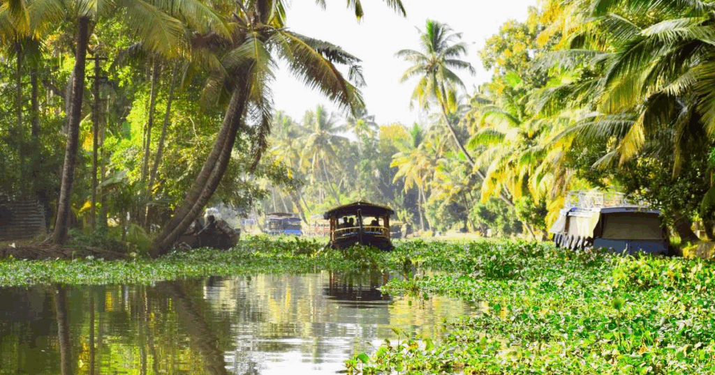 Alleppey, Kerala - Serene Backwaters