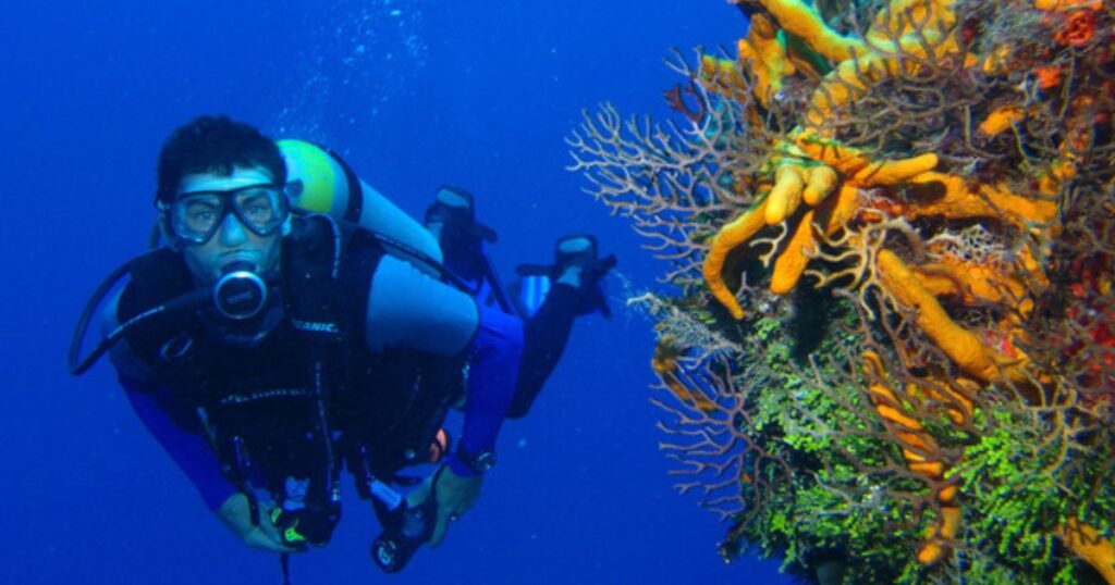 Andaman Islands - Underwater Magic