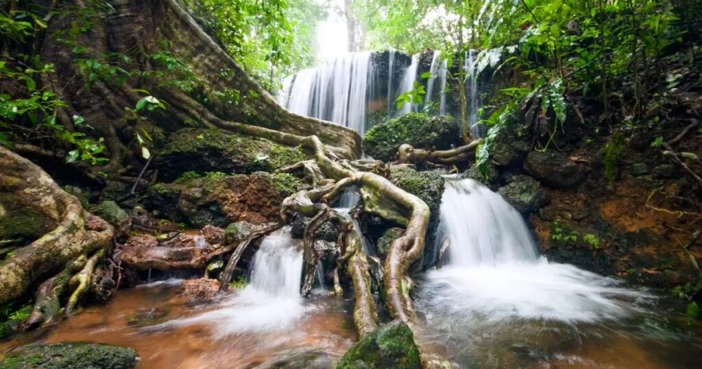 Agumbe