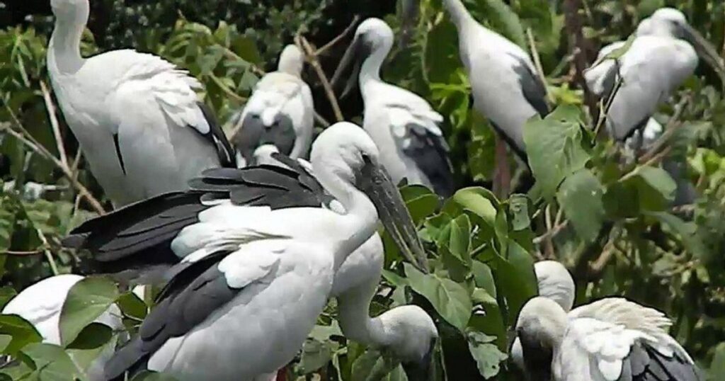 Unexplored Places in Karnataka