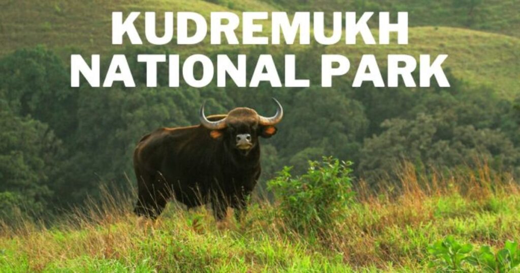 Kudremukh National Park