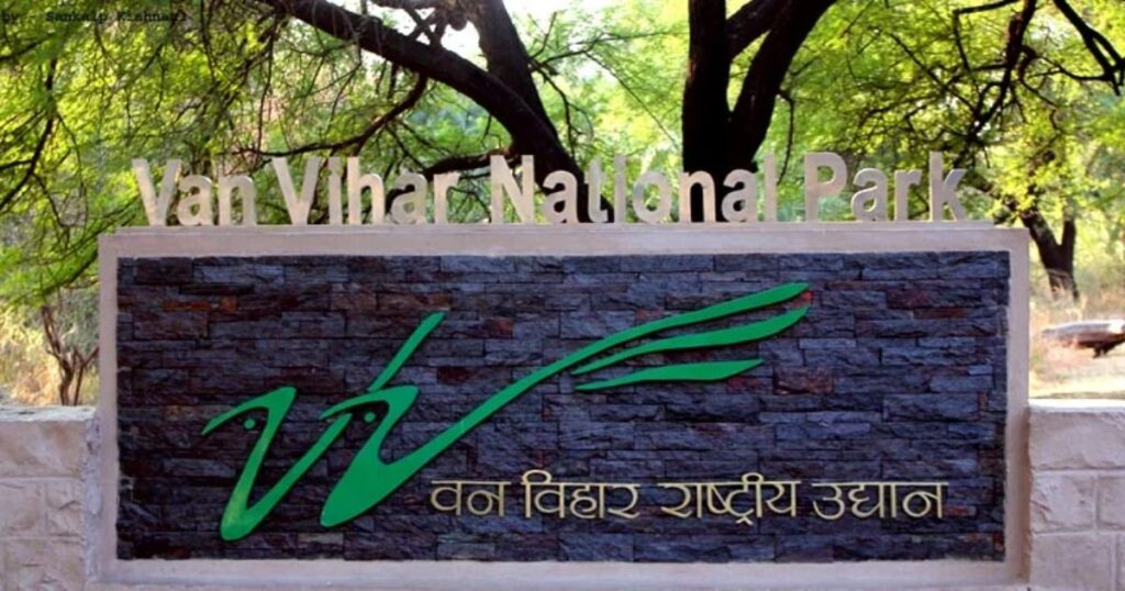 Van Vihar Park - Pine-Shaded Retreat