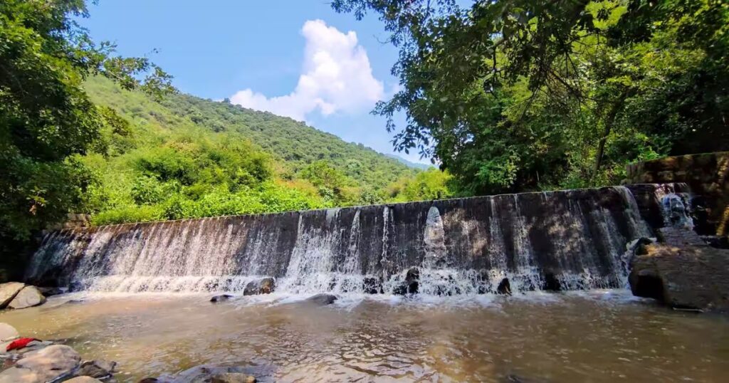 Danishpet Forest – Village & Wild Trails