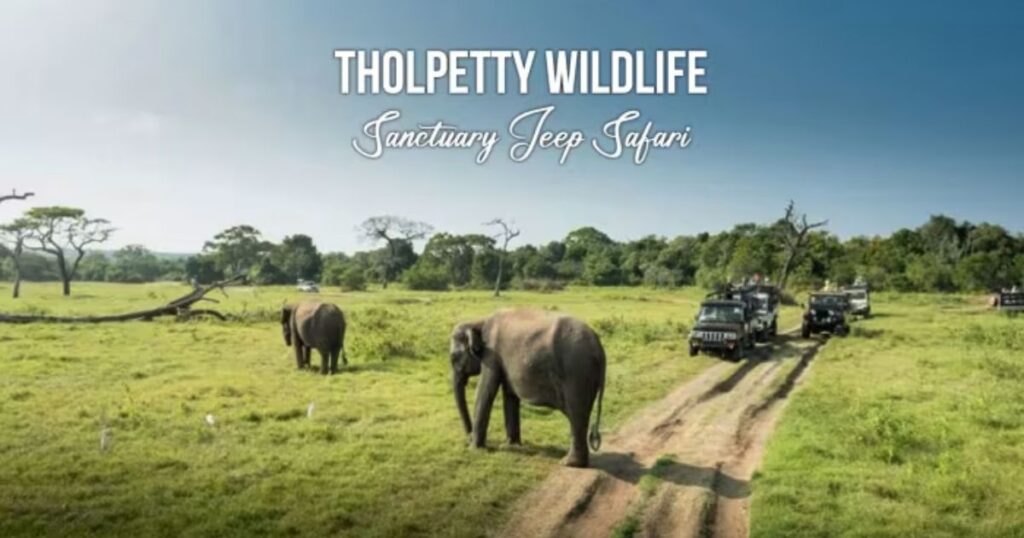 Tholpetty Wildlife Sanctuary - Remote Wilderness