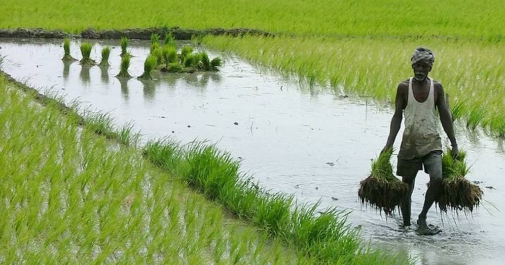 Kadambadi Village
