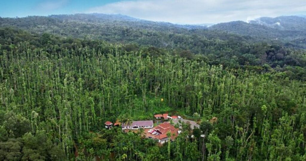 Pandaravalli Forest - Chikmagalur’s Haunted Wilderness