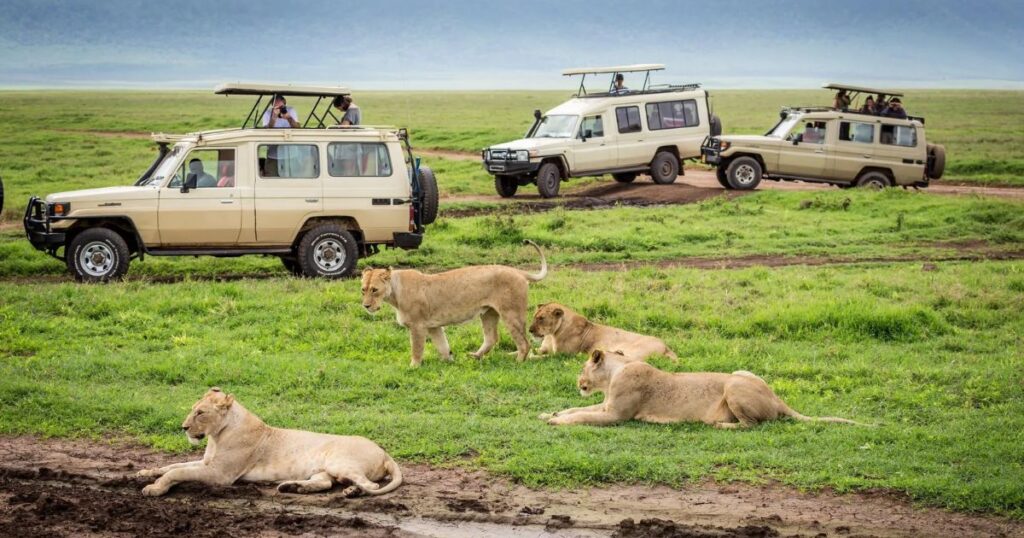Kenya - Safari Adventure in Dry Season