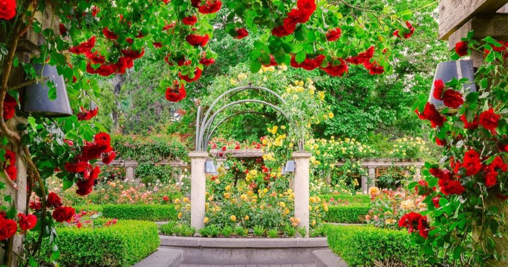 Rose Garden - Botanical and Historical Charm