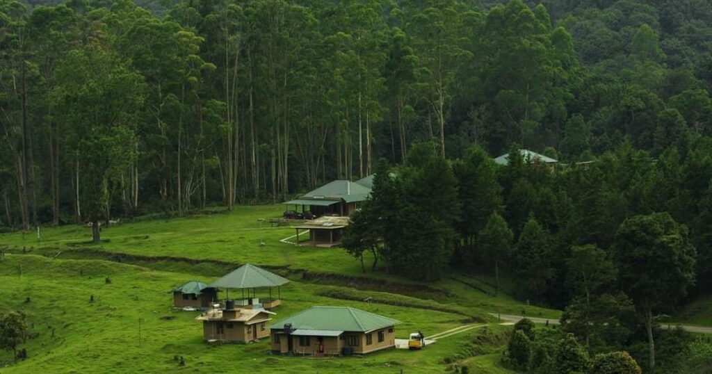 Pampadum Shola National Park - Hidden Biodiversity
