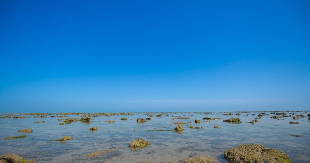 Marine National Park, Gulf of Kutch