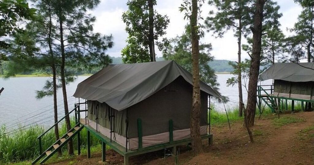 Langshiang Campsite - Offbeat Base for Exploration