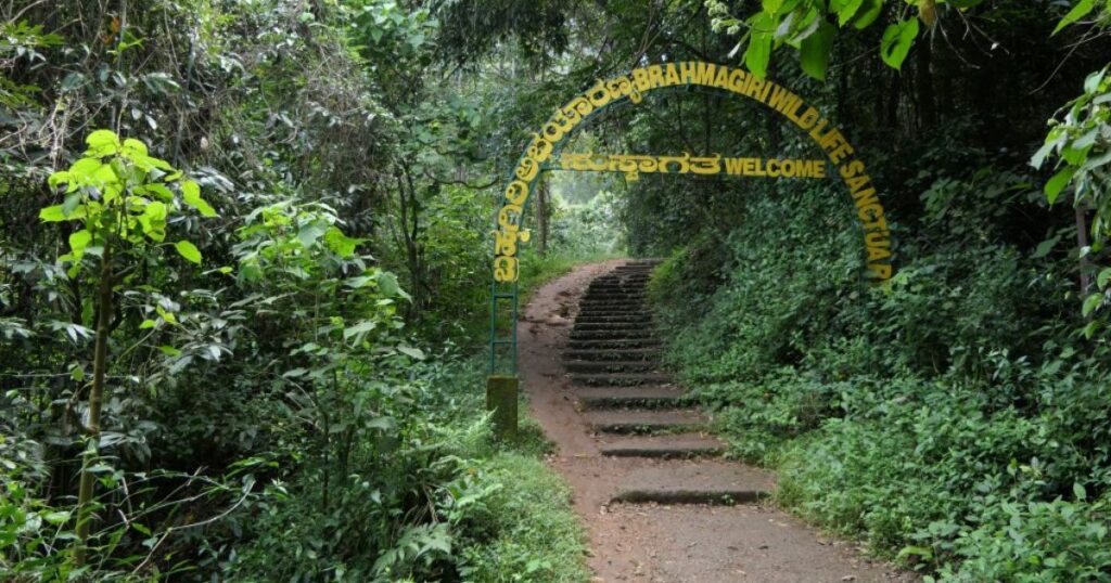Brahmagiri Wildlife Sanctuary - Untamed Nature’s Hideout