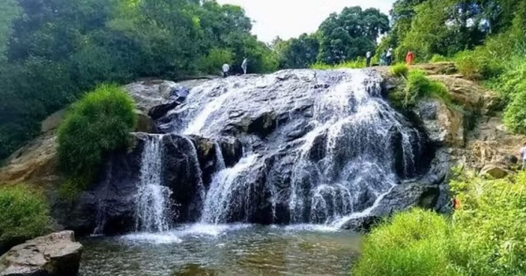Catherine Falls Road - The Hidden Drive and Viewpoint