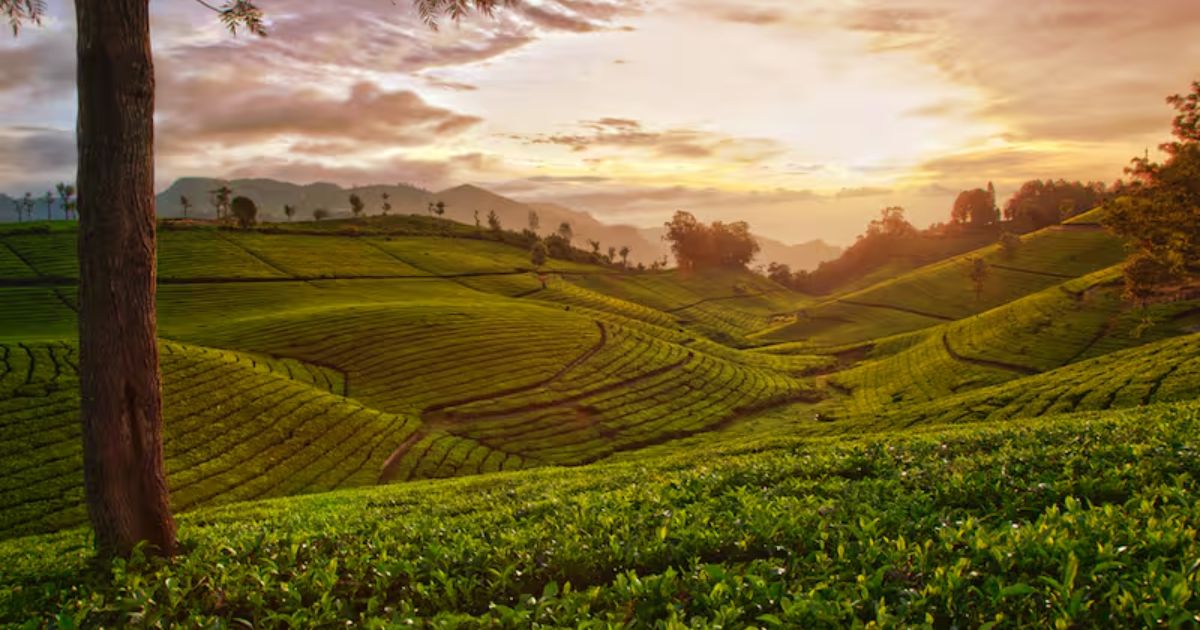 hidden places in coonoor