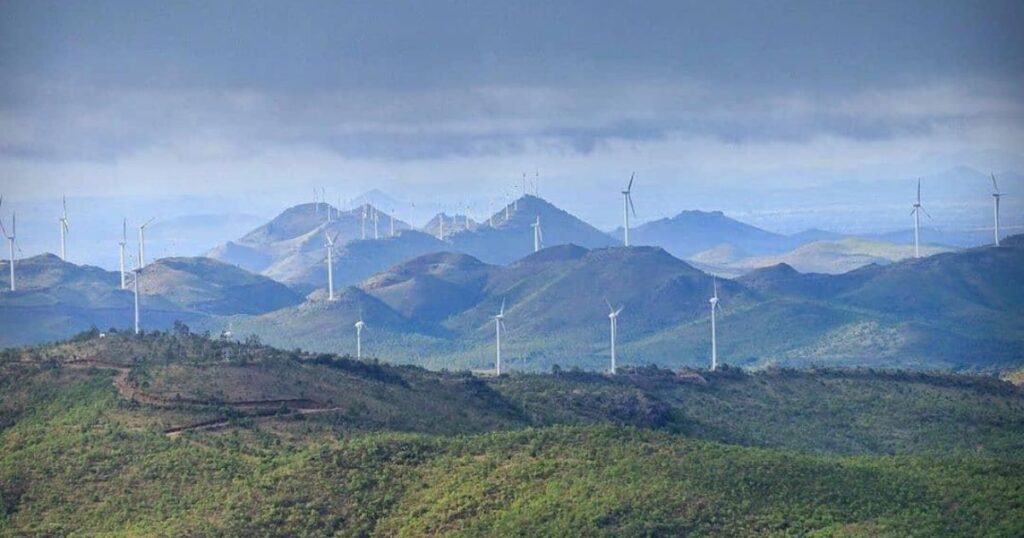 Jogimatti Reserve Forest