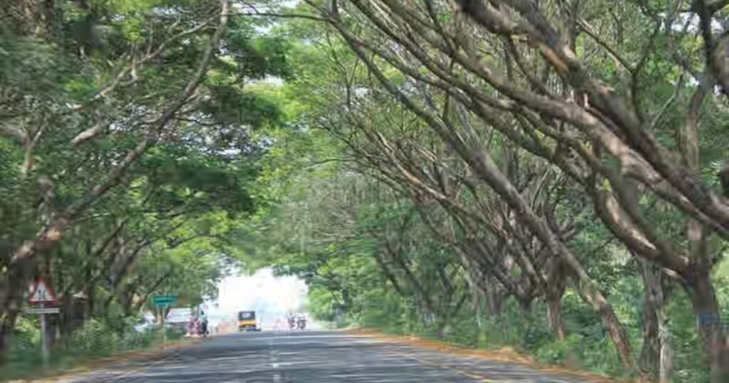 Two-Lane East Coast Road (ECR)