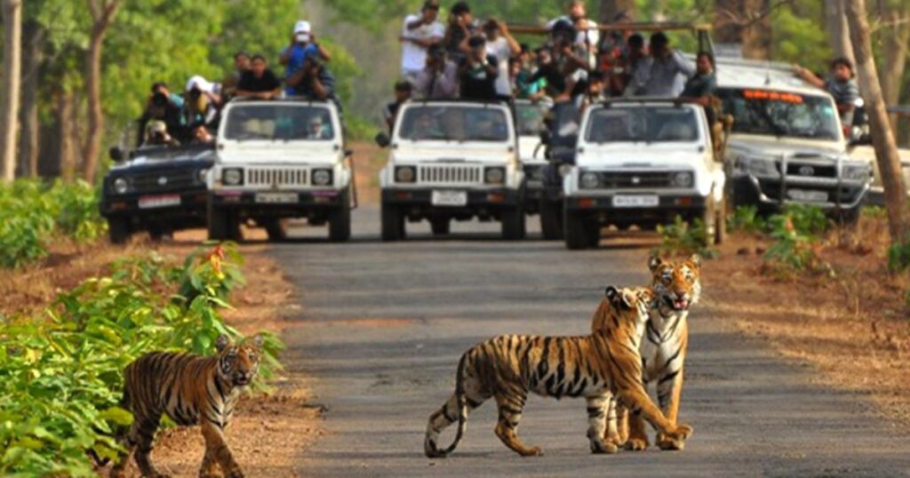 Places to Visit in Chamarajanagar