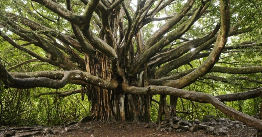 Haunted Places in Odisha