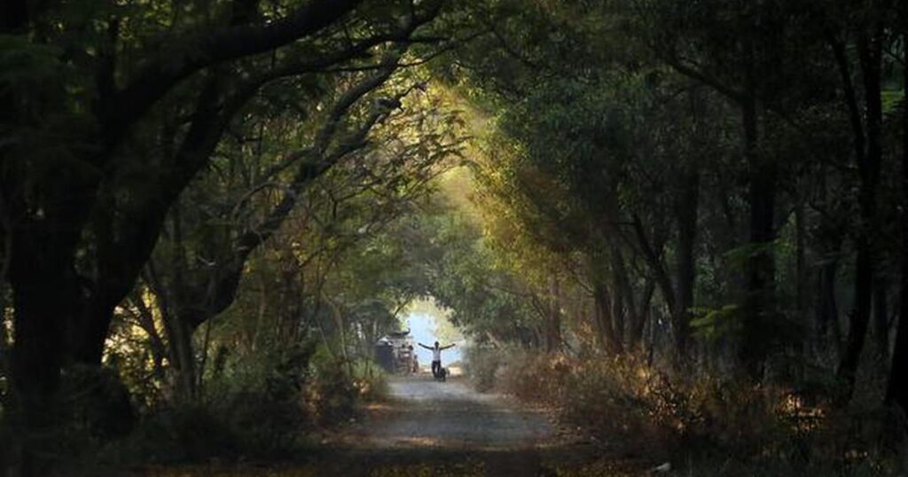 Aarey Forest, Mumbai