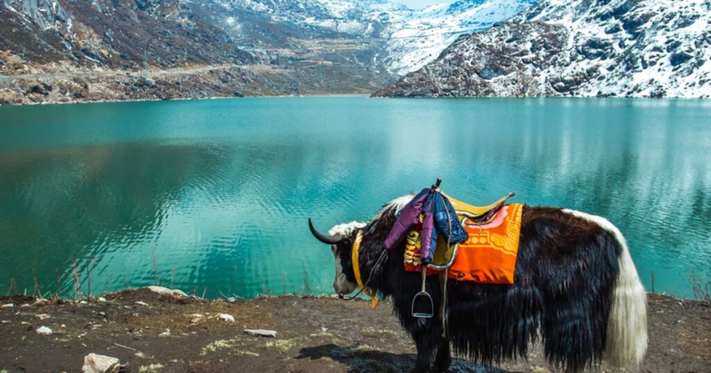 Tsomgo Lake