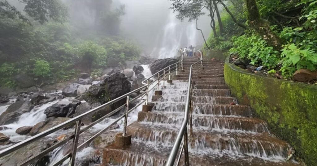 Amboli
