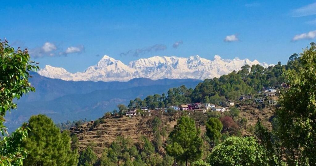 The Central Himalayan Reserve Forest near Ranikhet