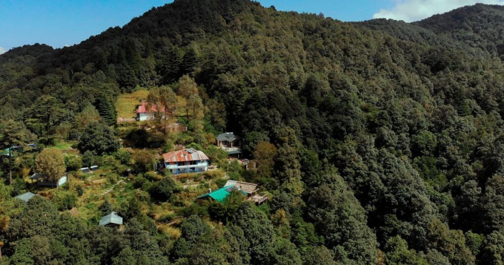 Binsar Forest