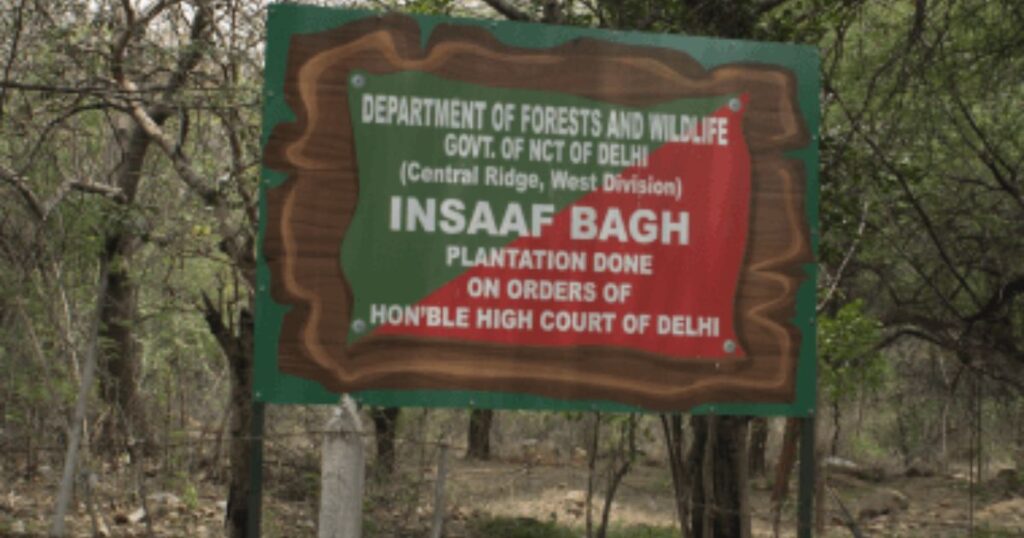 Insaf Bagh