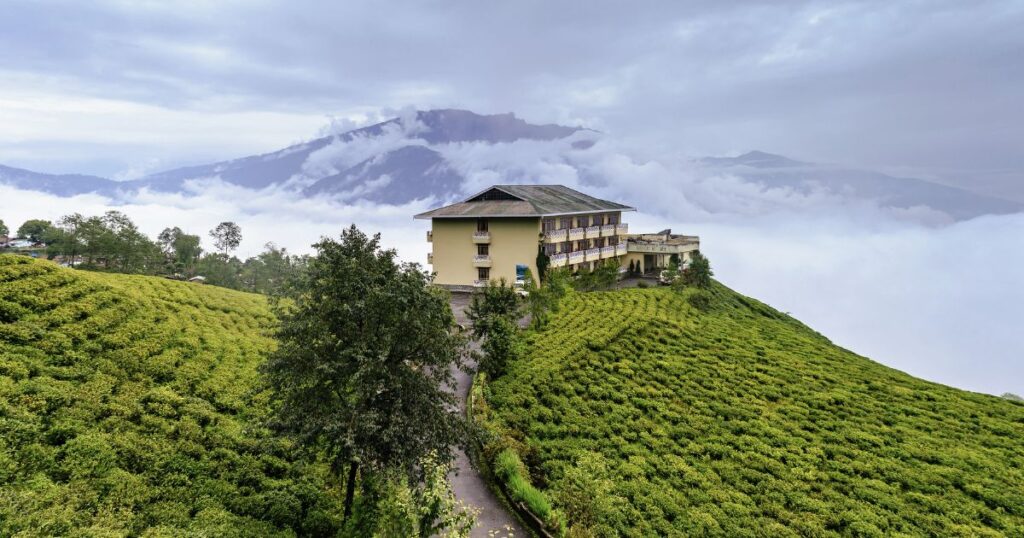 Temi Tea Garden