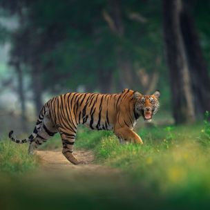 Uttarakhand Tour Package