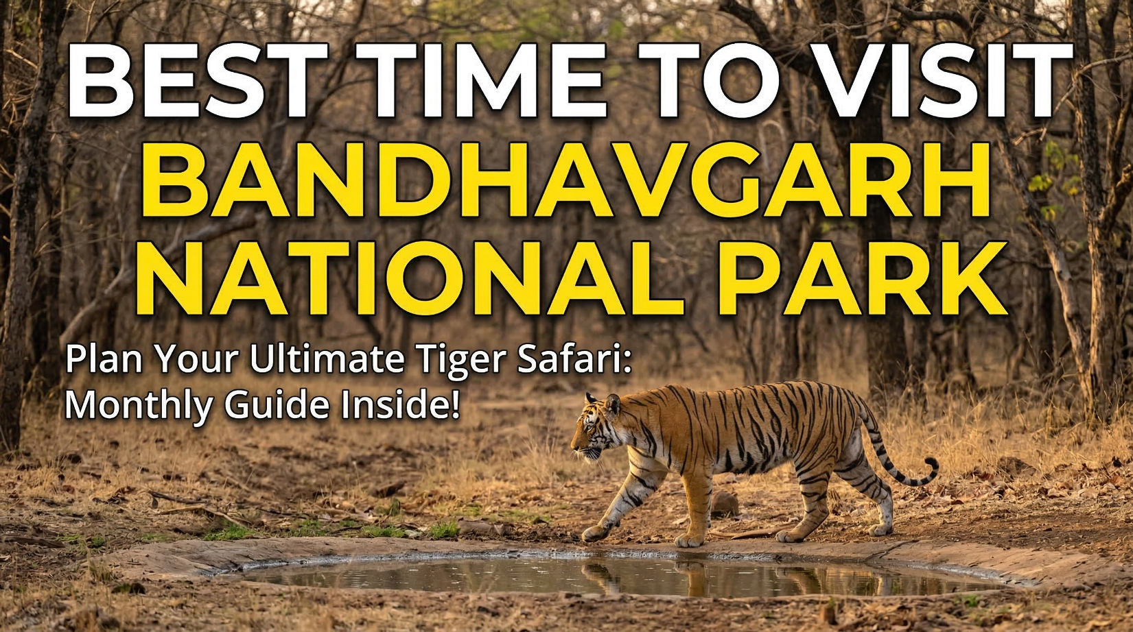 Best Time to Visit Bandhavgarh National Park