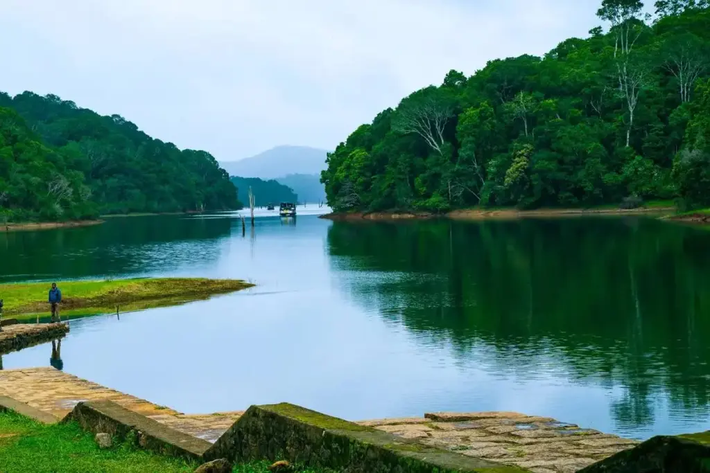 Practical Tips for Visiting Thekkady
