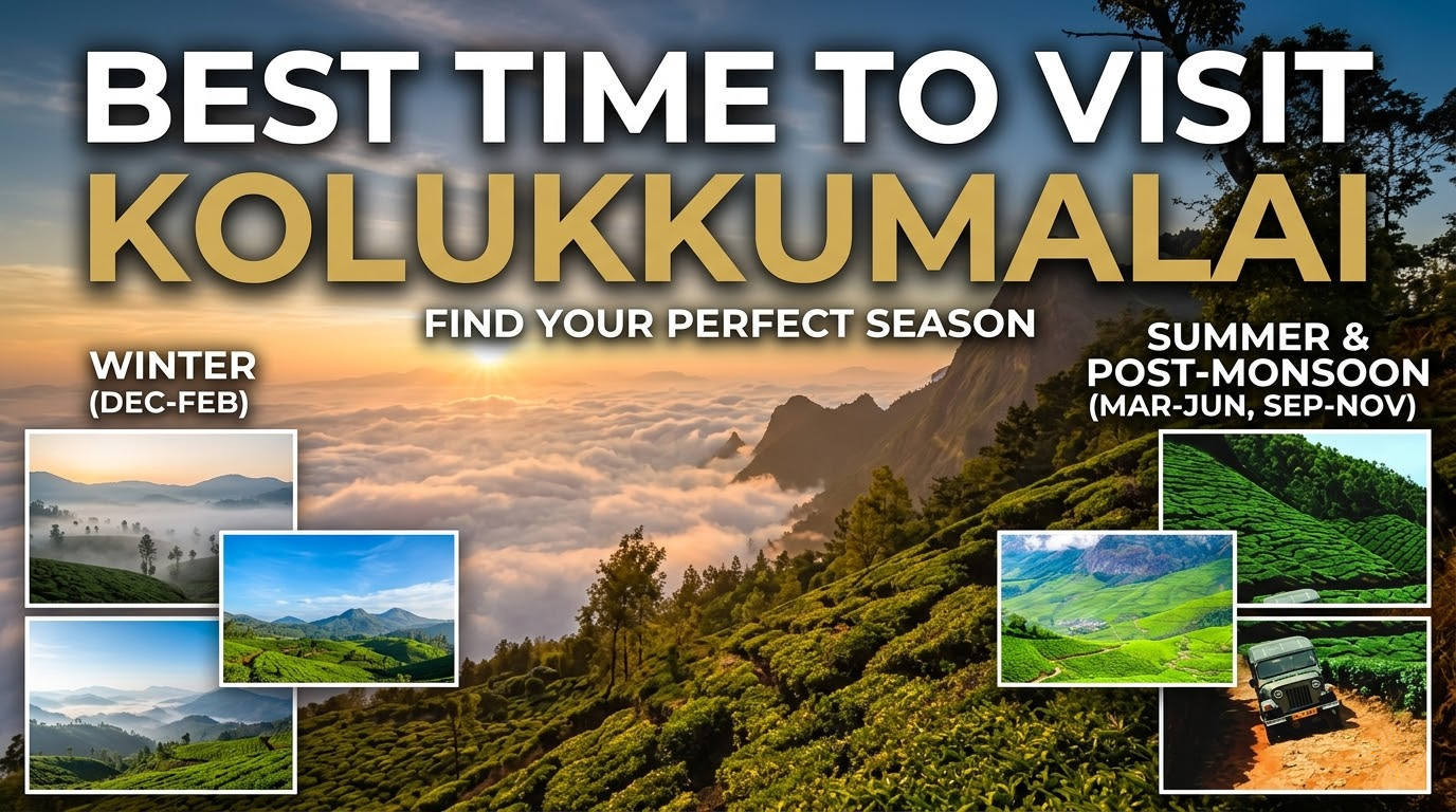 Best Time to Visit Kolukkumalai