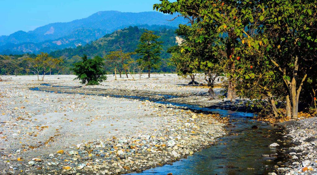 Practical Tips for Visiting Dooars