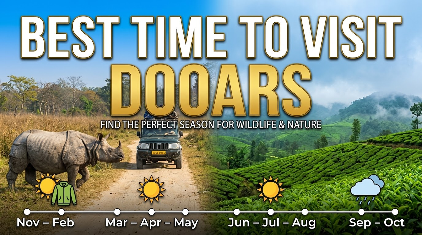 Best Time to Visit Dooars