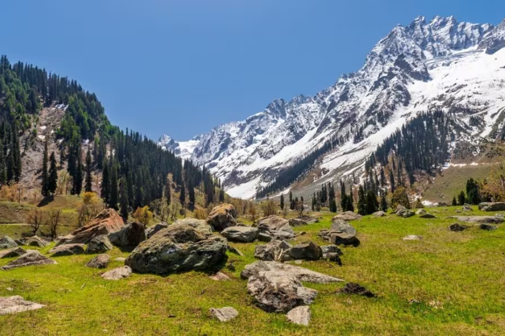 Sonmarg