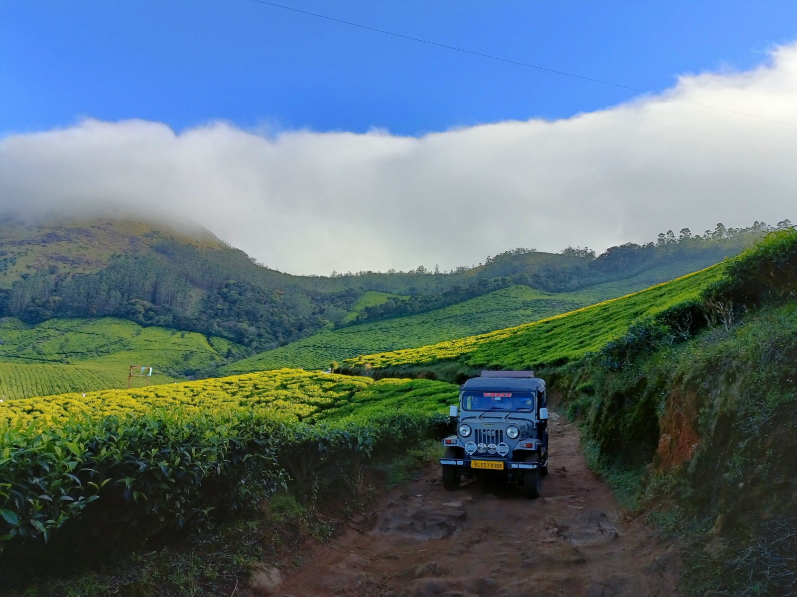 Hidden Places in Munnar