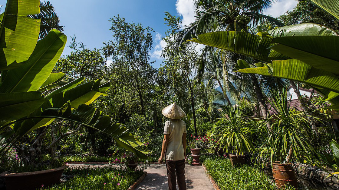 What is the Best Time to Visit Vietnam
